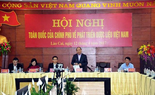 Nam Dược tham dự Hội nghị toàn quốc về phát triển dược liệu do Thủ tướng chủ trì