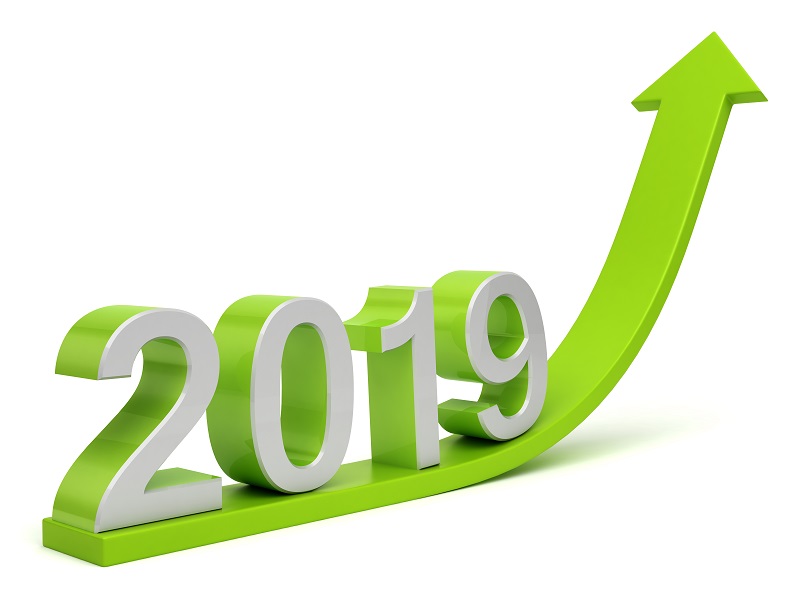 Báo Cáo Tài Chính Riêng –  2019