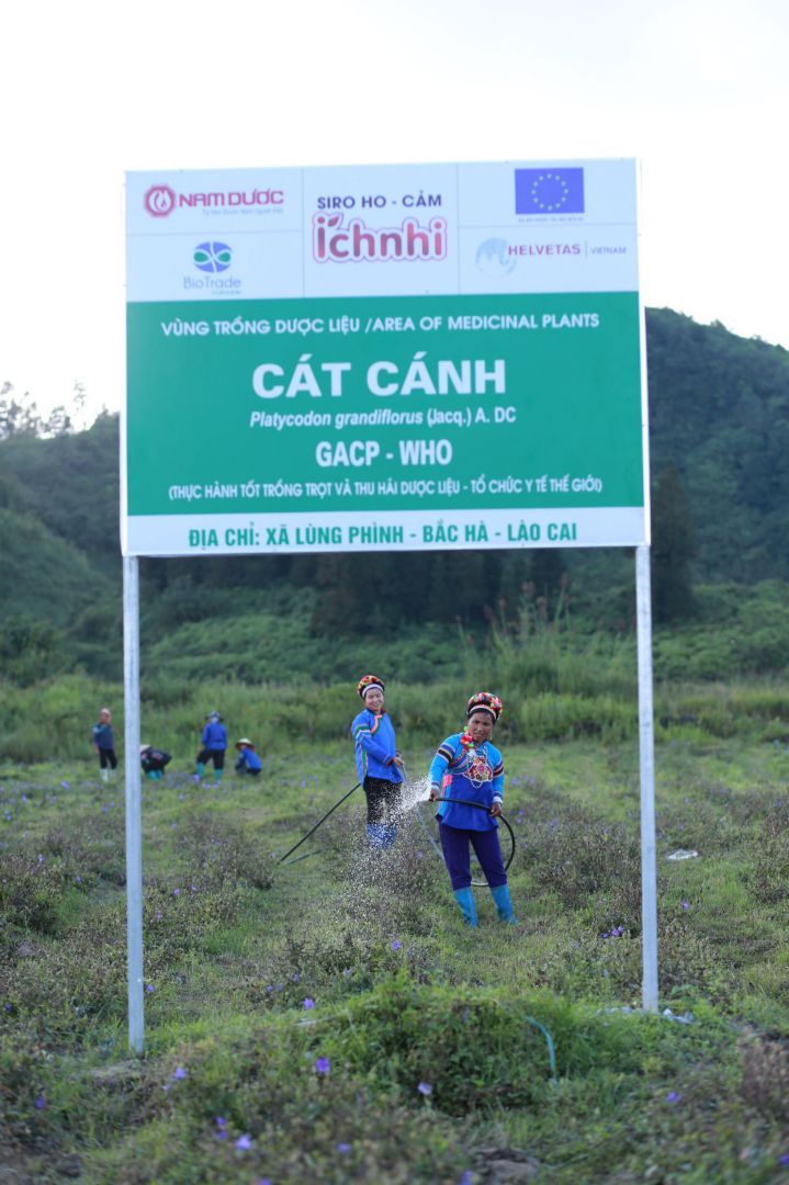 cat canh