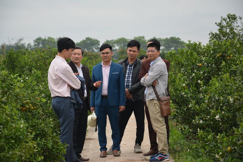 duxuan16 (12)