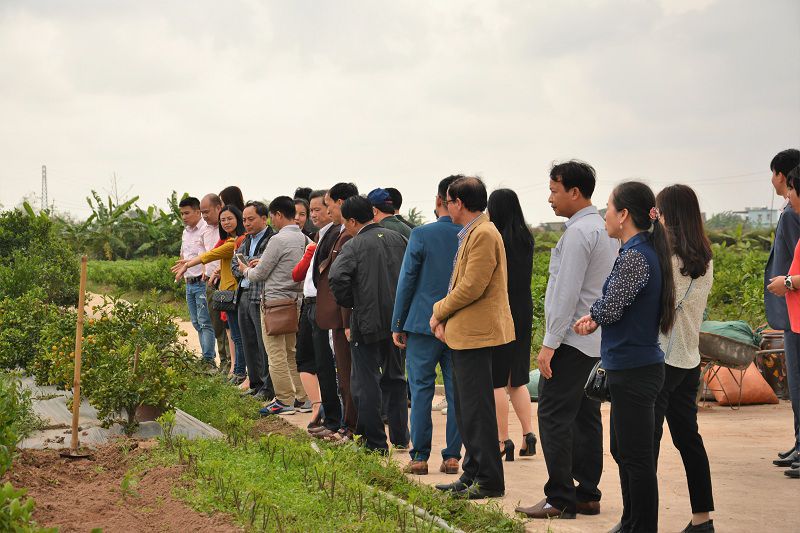 duxuan16 (9)