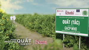 Nam Dược