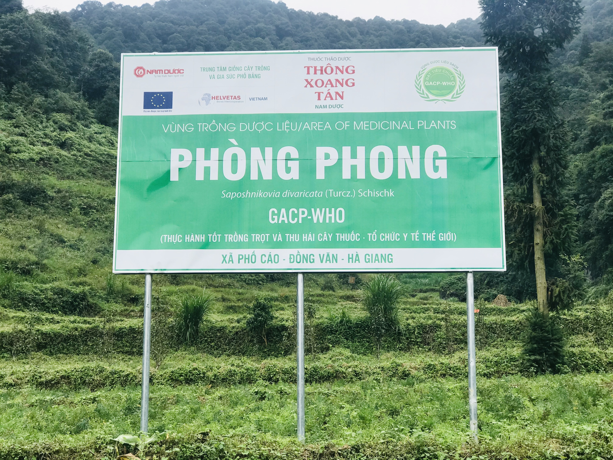 Nam Dược