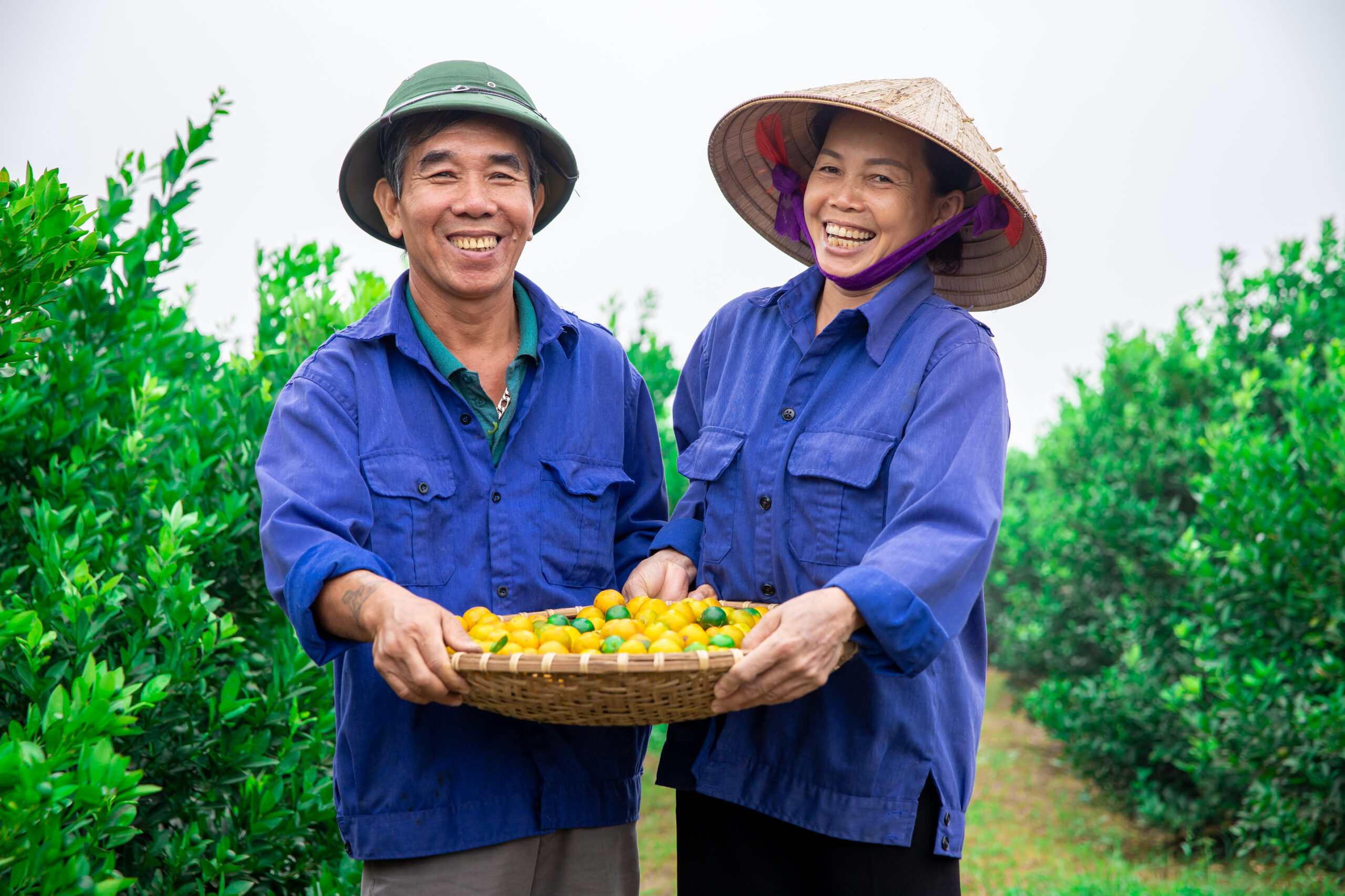 Nam Dược