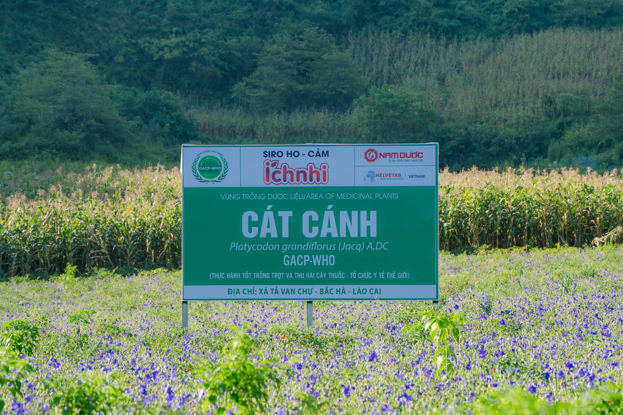 Nam Dược